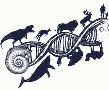 M.Sc.
